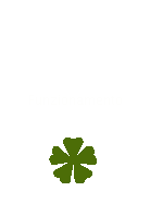 Funzionamento
