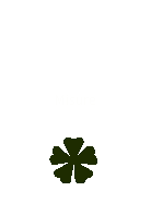 Misure